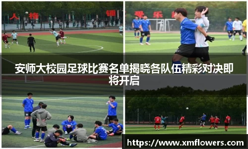 tyc33455cc太阳成集团官网