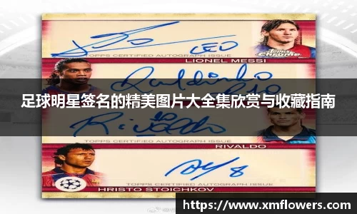 tyc33455cc太阳成集团官网